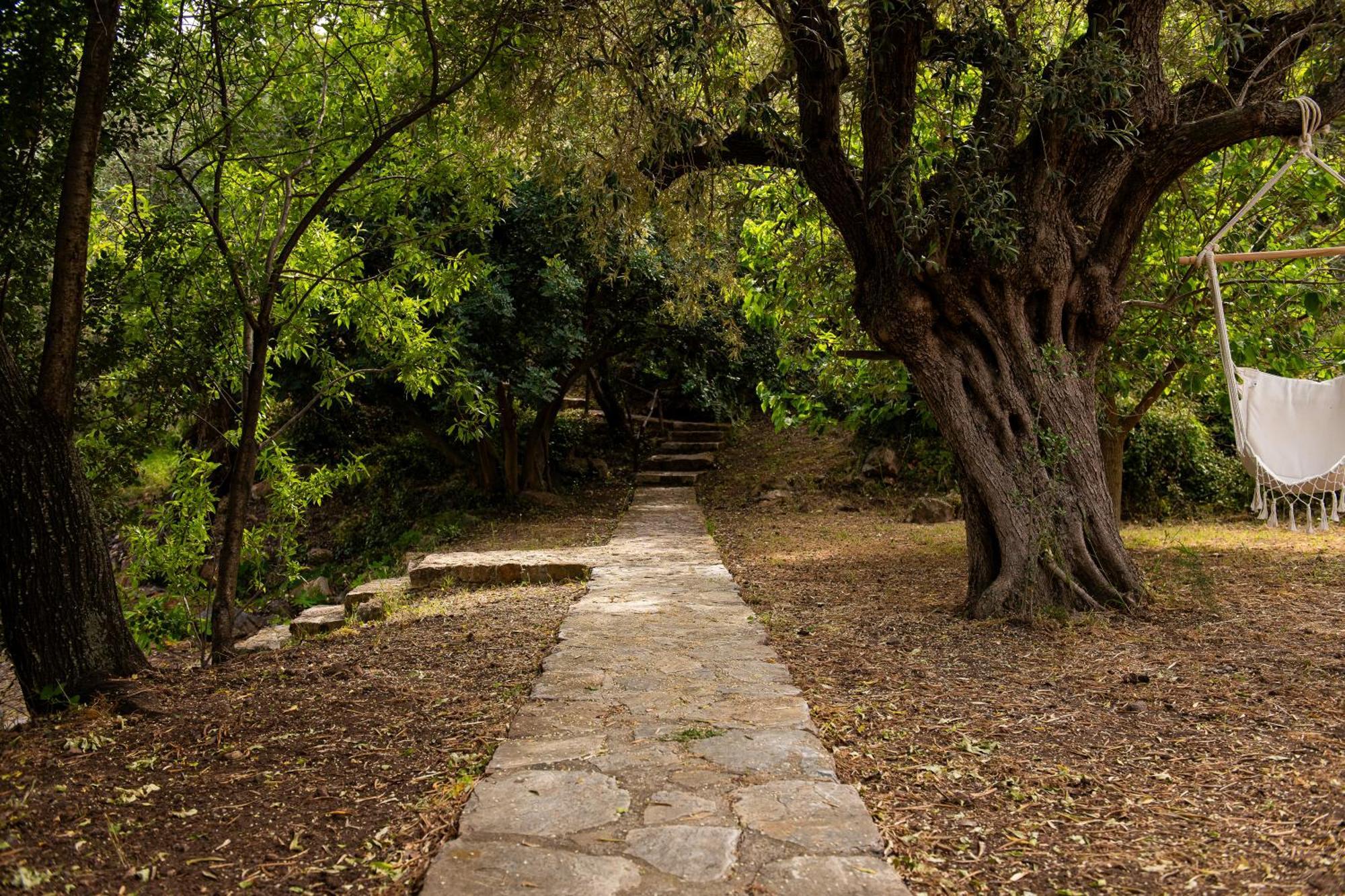 Lithea Villas And Studios By The Sea Agios Petros  Exterior foto