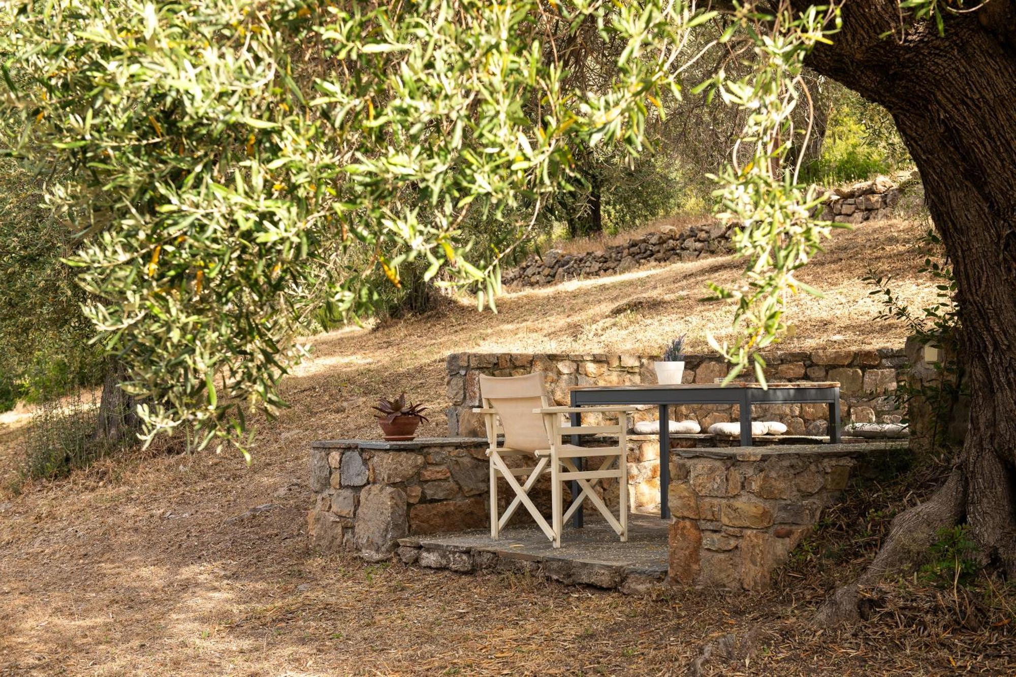 Lithea Villas And Studios By The Sea Agios Petros  Exterior foto