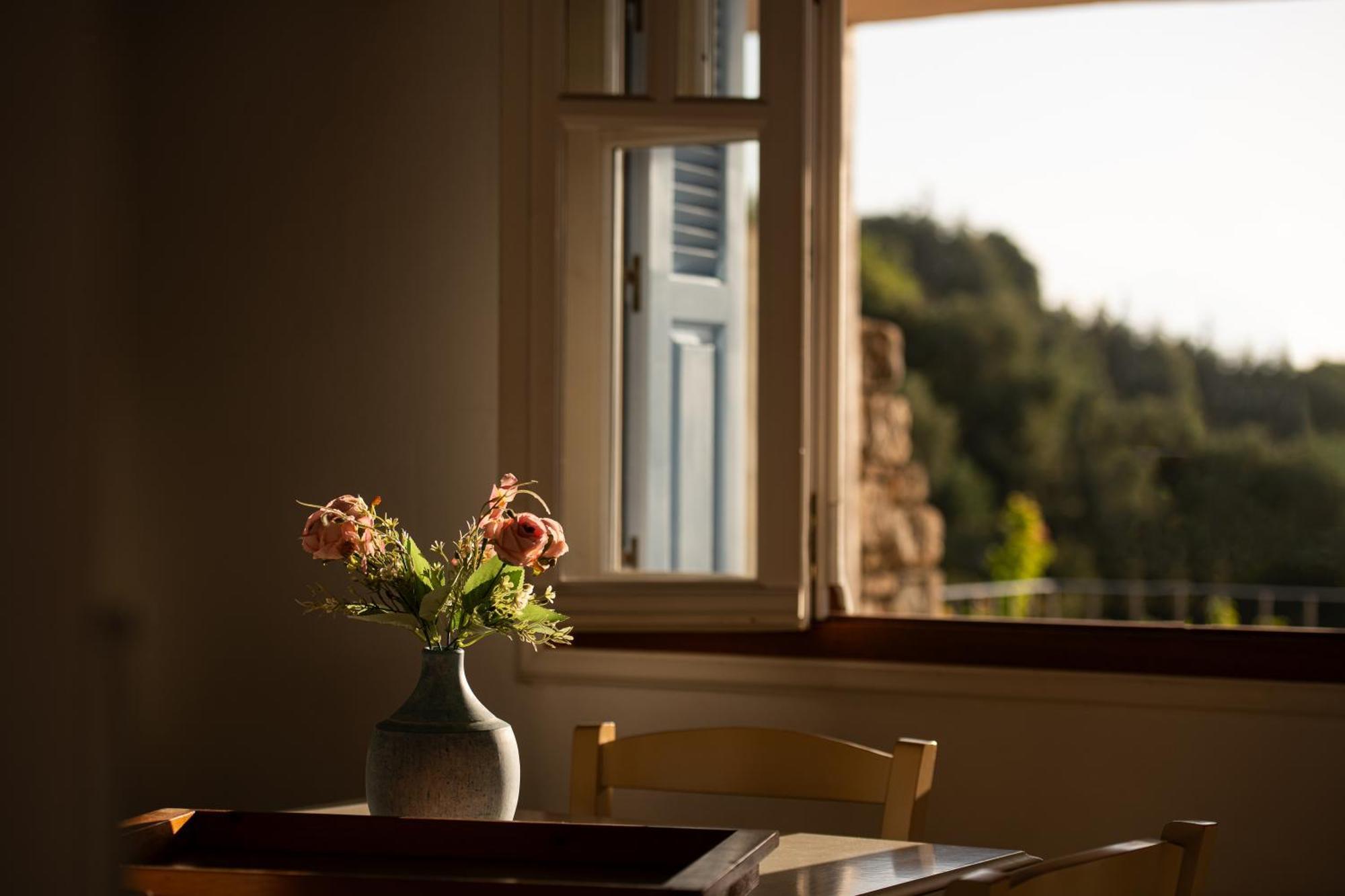 Lithea Villas And Studios By The Sea Agios Petros  Exterior foto