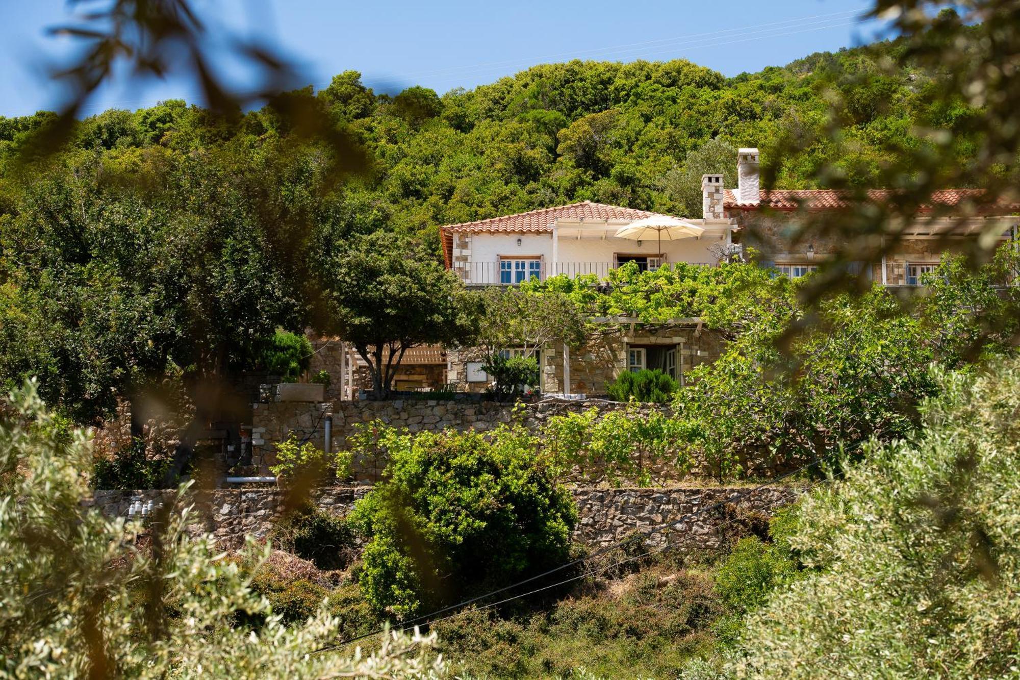 Lithea Villas And Studios By The Sea Agios Petros  Exterior foto